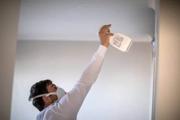 Best Attic Mold Removal  in Ashland, CA