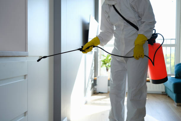  Ashland, CA Mold Removal Pros